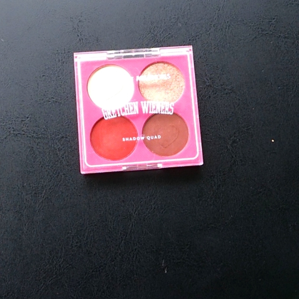 Profusion cosmetics mean girls eyeshadow quad